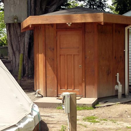 Wacky Stays - Unique Farm-Stay Glamping Rentals, Free Animal Feeding Tours Кайкоура Экстерьер фото