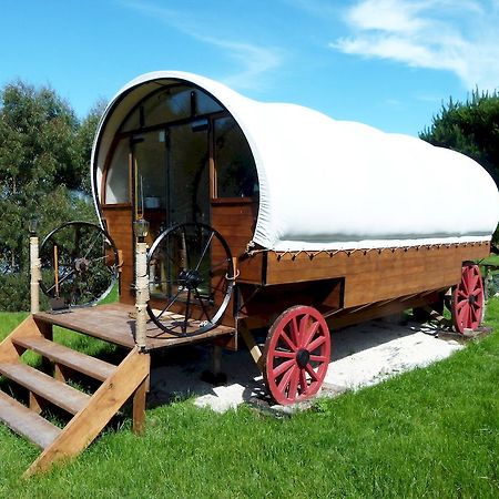 Wacky Stays - Unique Farm-Stay Glamping Rentals, Free Animal Feeding Tours Кайкоура Экстерьер фото