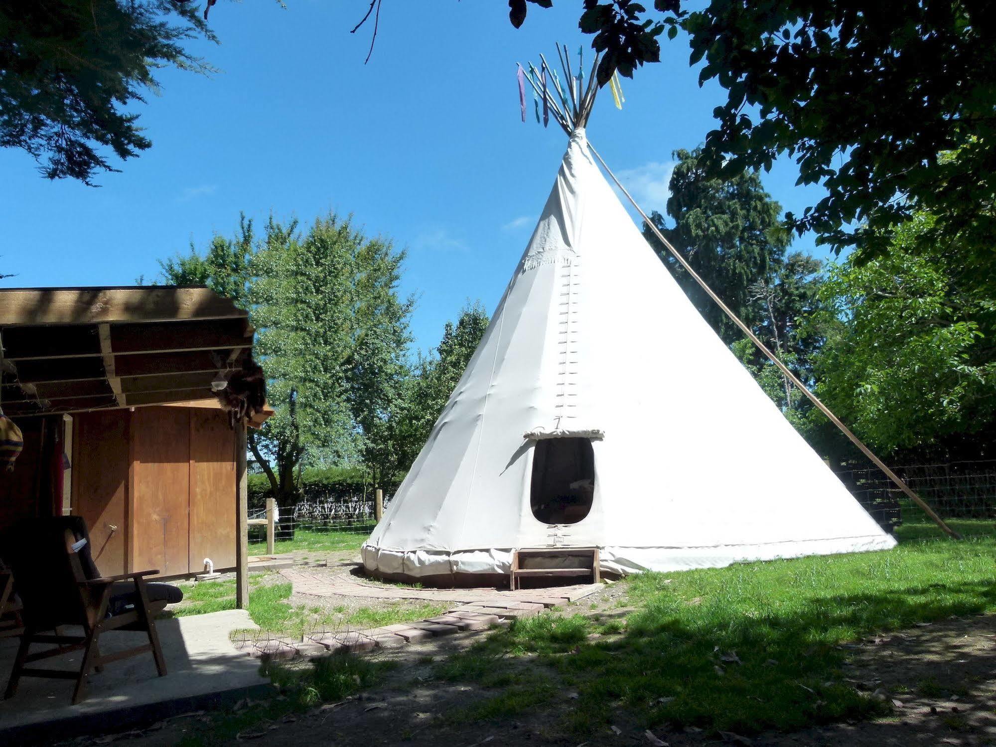 Wacky Stays - Unique Farm-Stay Glamping Rentals, Free Animal Feeding Tours Кайкоура Экстерьер фото