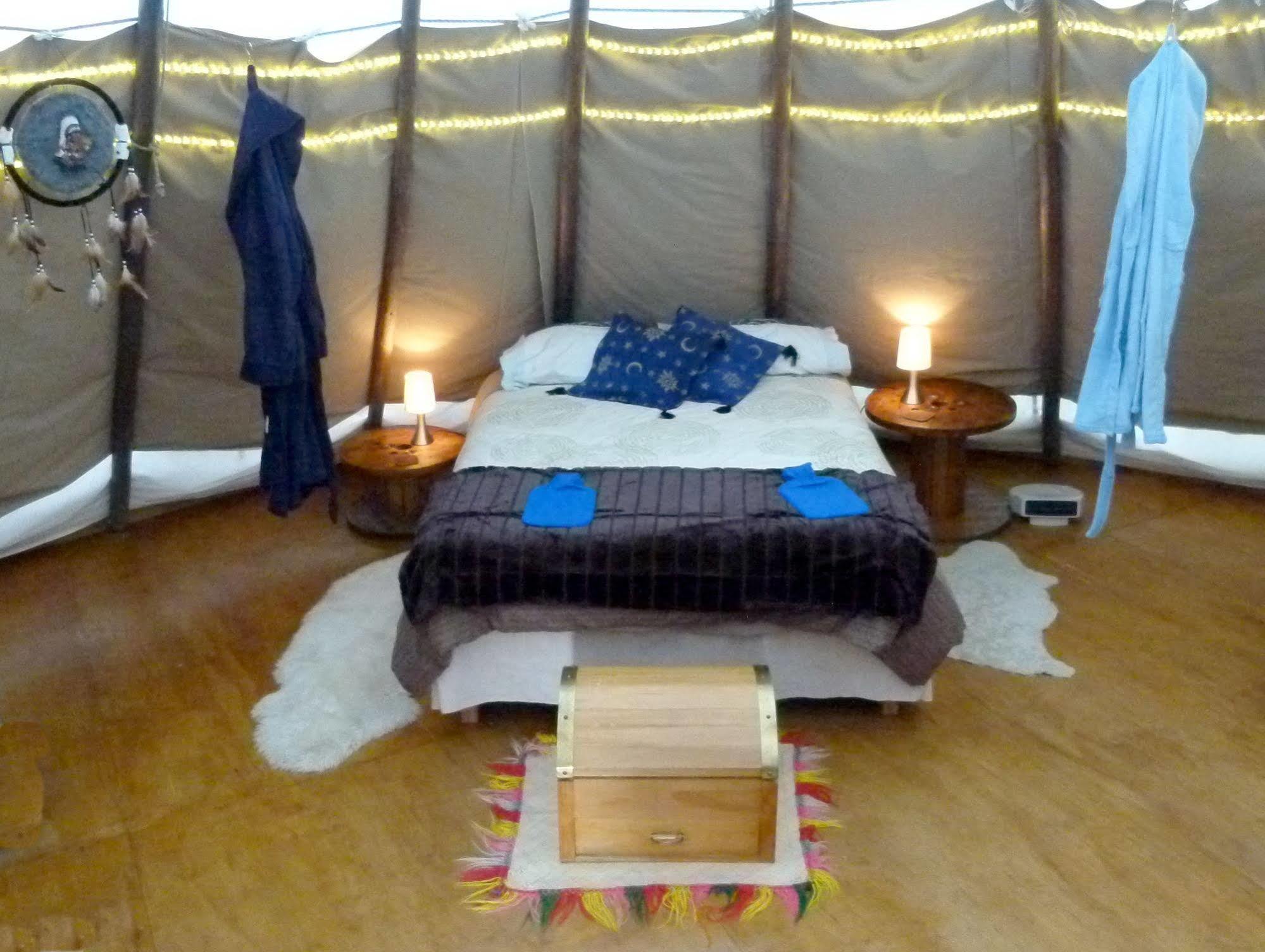 Wacky Stays - Unique Farm-Stay Glamping Rentals, Free Animal Feeding Tours Кайкоура Экстерьер фото