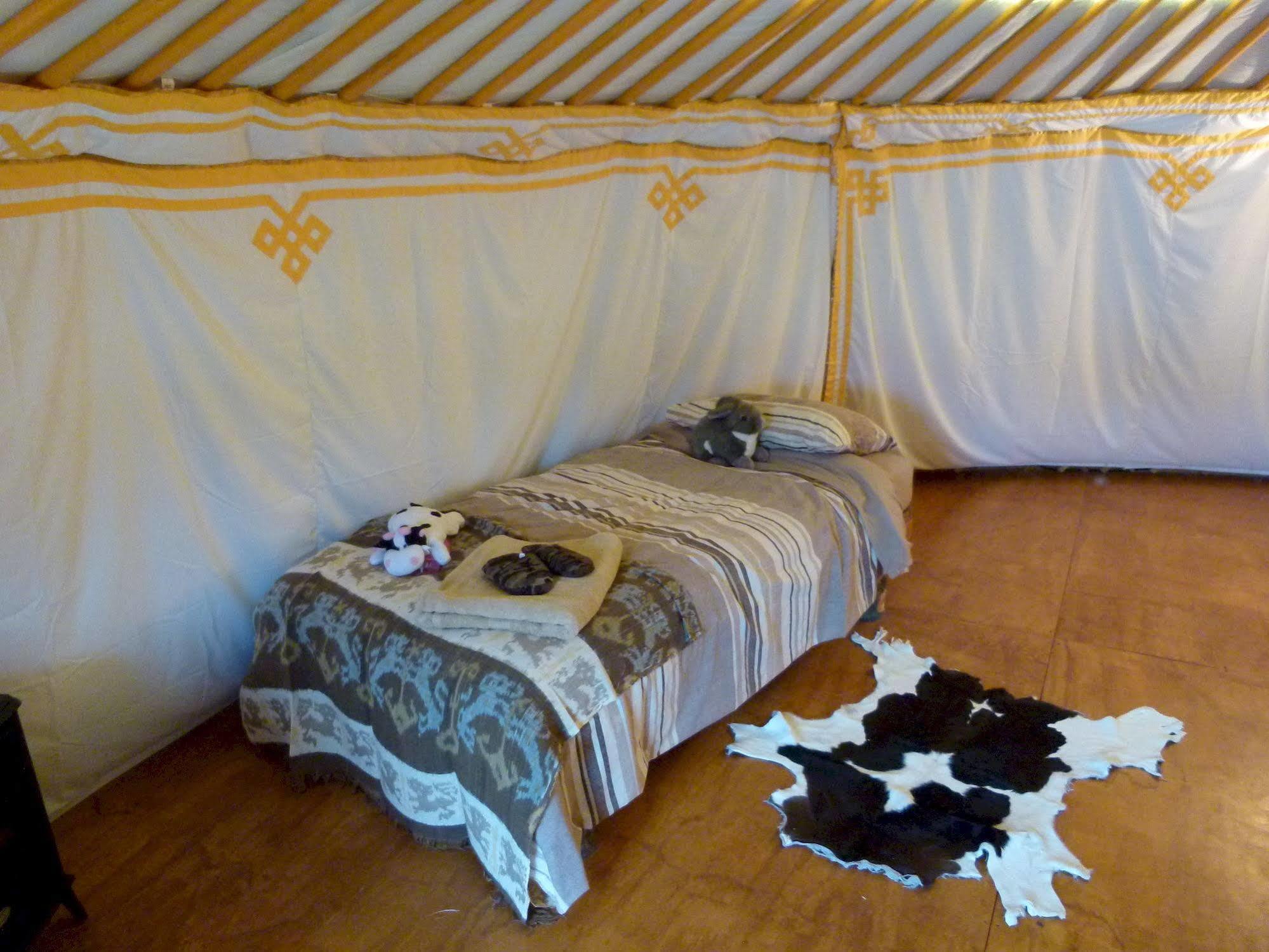 Wacky Stays - Unique Farm-Stay Glamping Rentals, Free Animal Feeding Tours Кайкоура Экстерьер фото