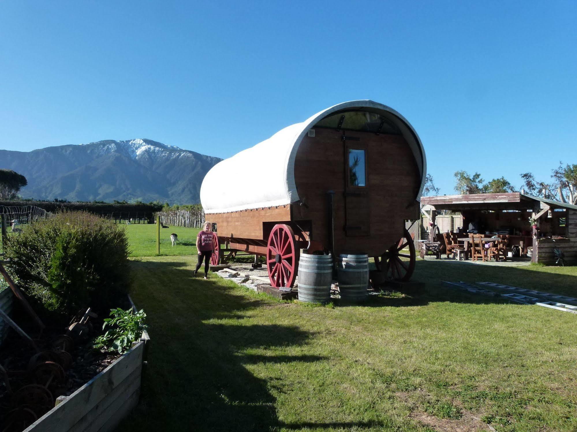 Wacky Stays - Unique Farm-Stay Glamping Rentals, Free Animal Feeding Tours Кайкоура Экстерьер фото